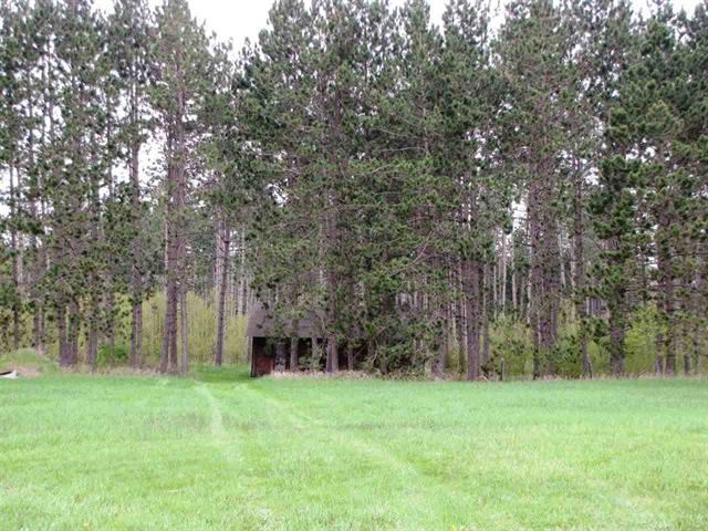 5215 North 31 Road Manton, MI 49663 - Photo 13 of 22 1807280-12.JPG