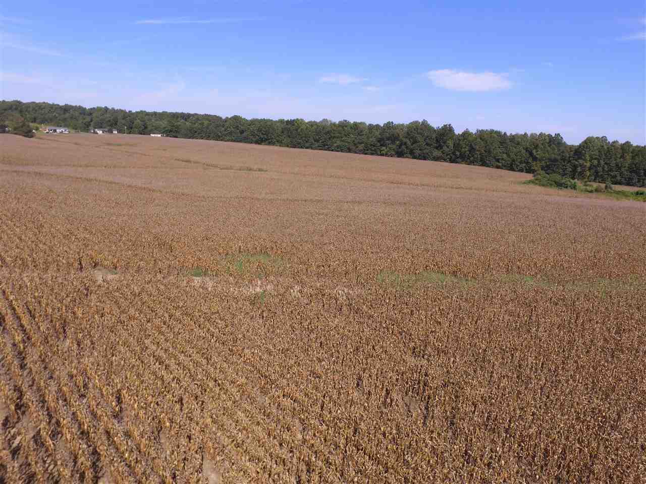 2400 Durhamville Road Ripley, TN 38063 - Photo 14 of 16 a view of lake