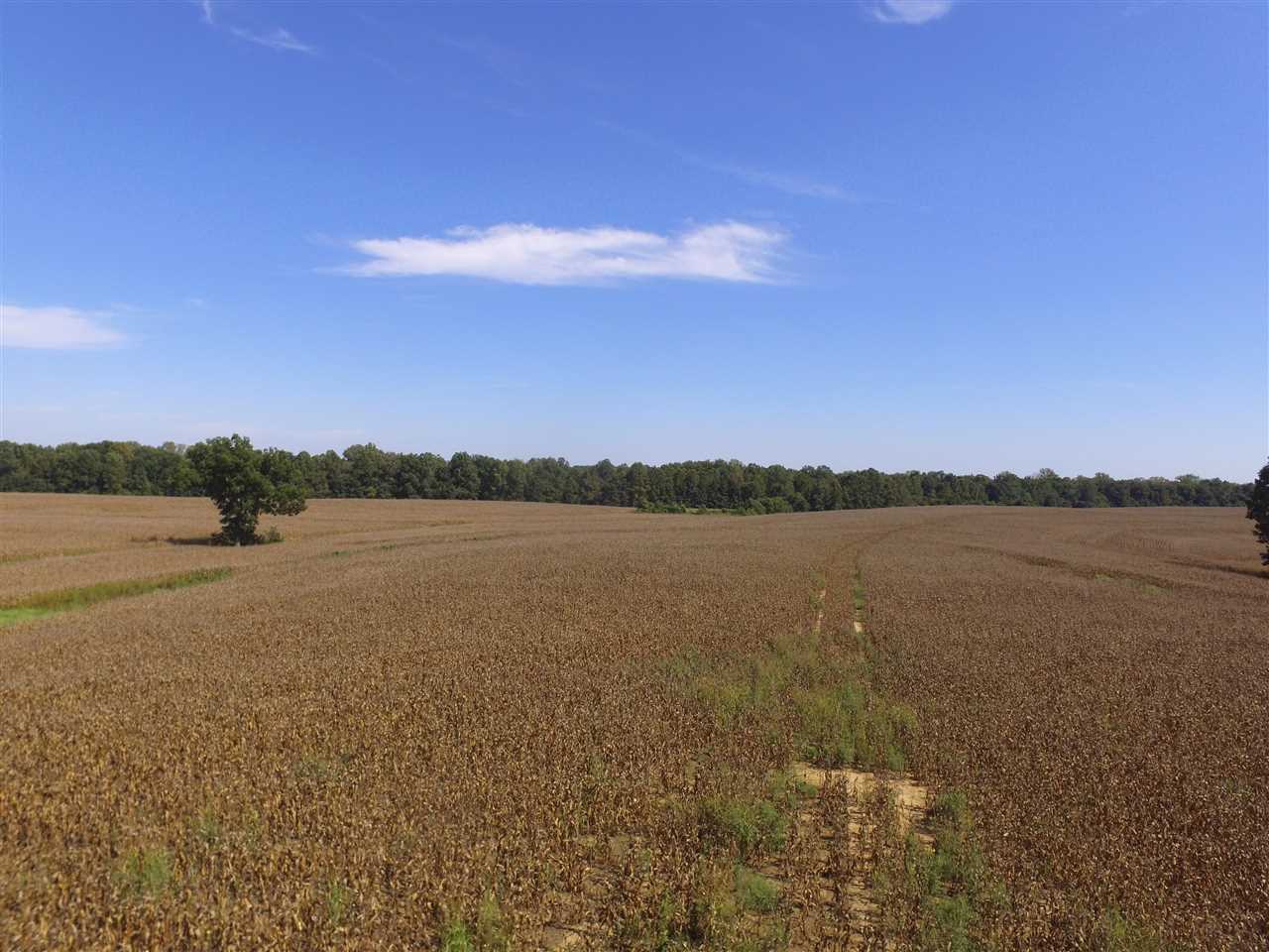 2400 Durhamville Road Ripley, TN 38063 - Photo 7 of 16 a view of lake with green space