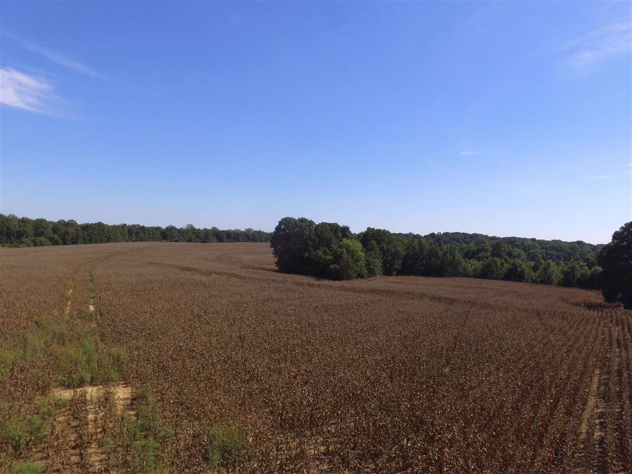2400 Durhamville Road Ripley, TN 38063 - Photo 8 of 16 a view of lake