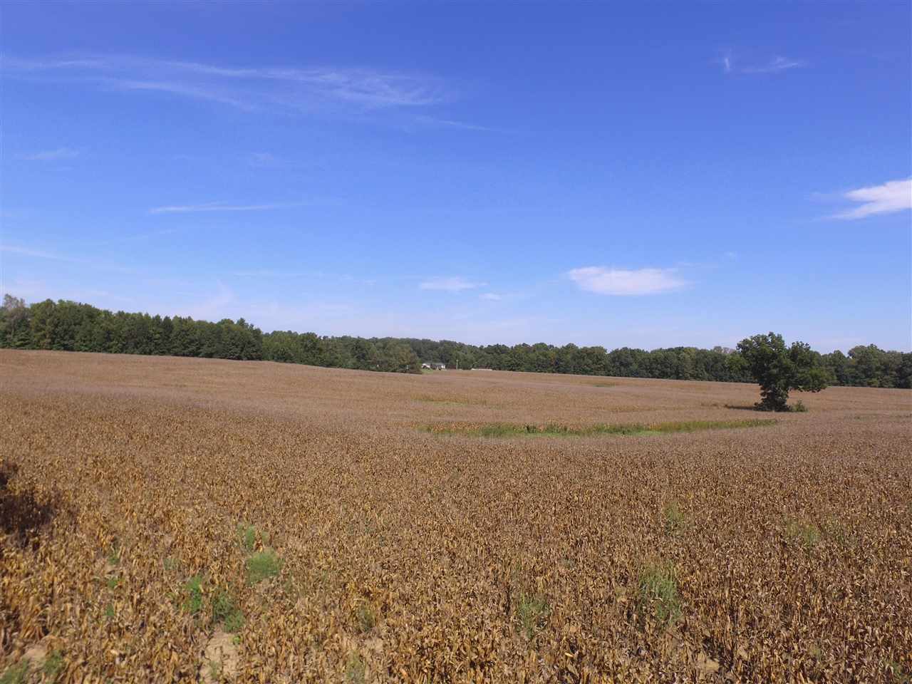 2400 Durhamville Road Ripley, TN 38063 - Photo 10 of 16 a view of lake with mountain