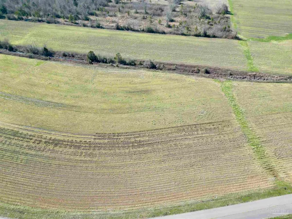 a view of an ocean from a beach