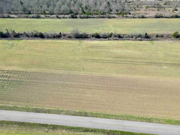 a view of a lake with a beach
