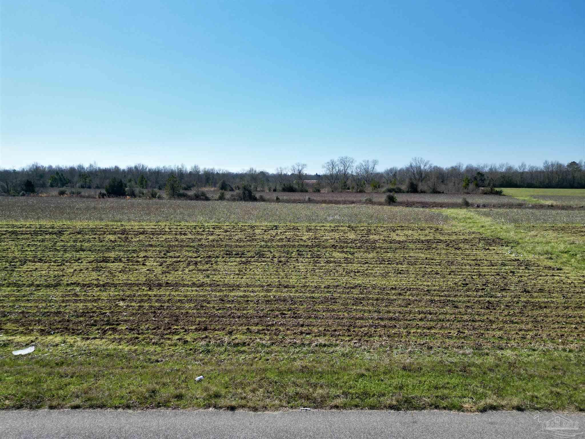 8 Cowpen Creek Road Atmore, AL 36502 - Photo 5 of 14 a view of a lake view