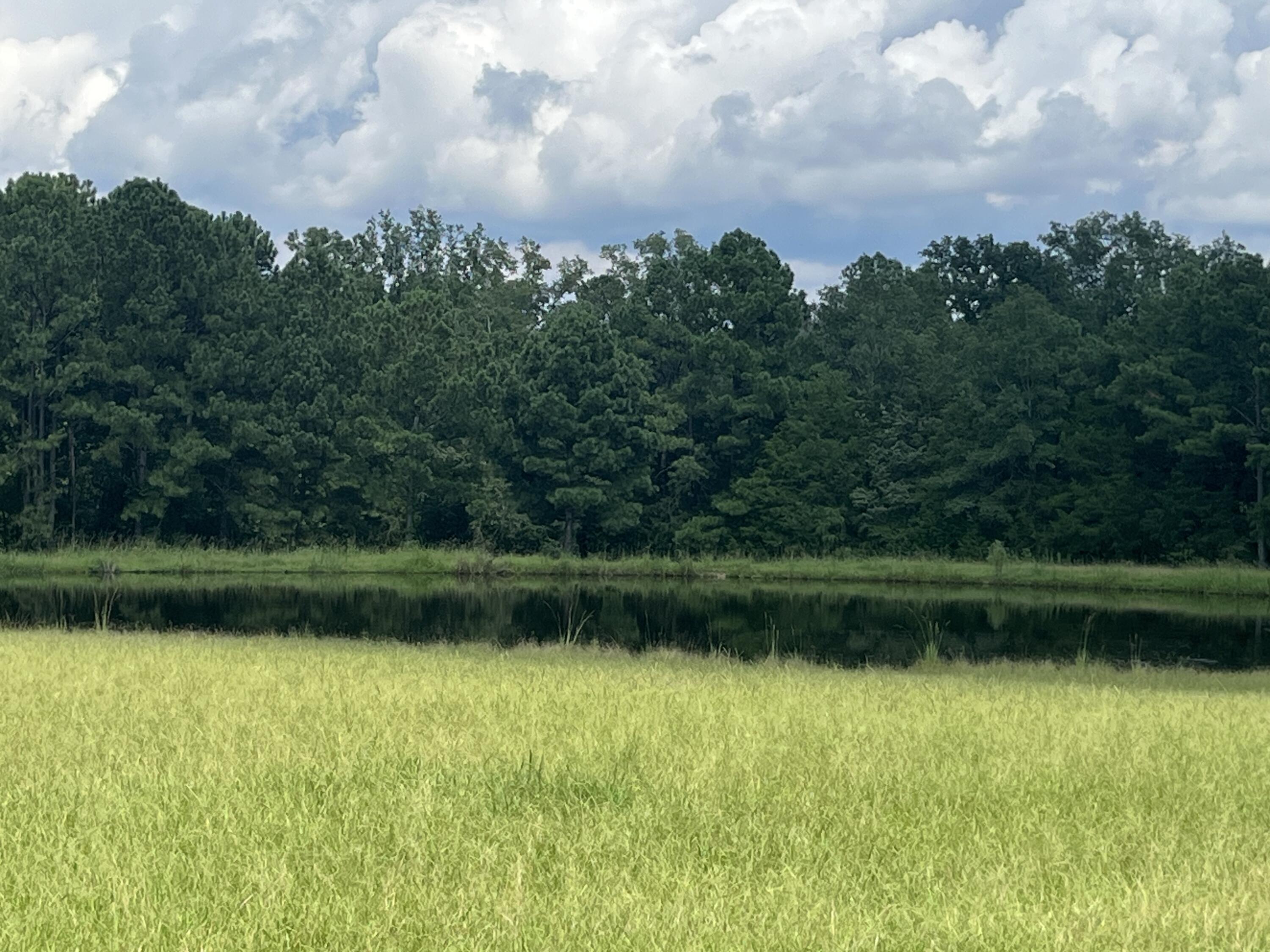 450 Jefferson Street McCormick, SC 29835 - Photo 17 of 18 IMG_0347