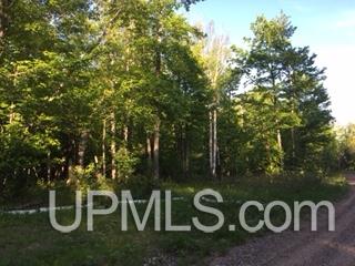 Tbd Maggie Point Road, Unit 11E Crystal Falls, MI 49920 - Photo 10 of 13