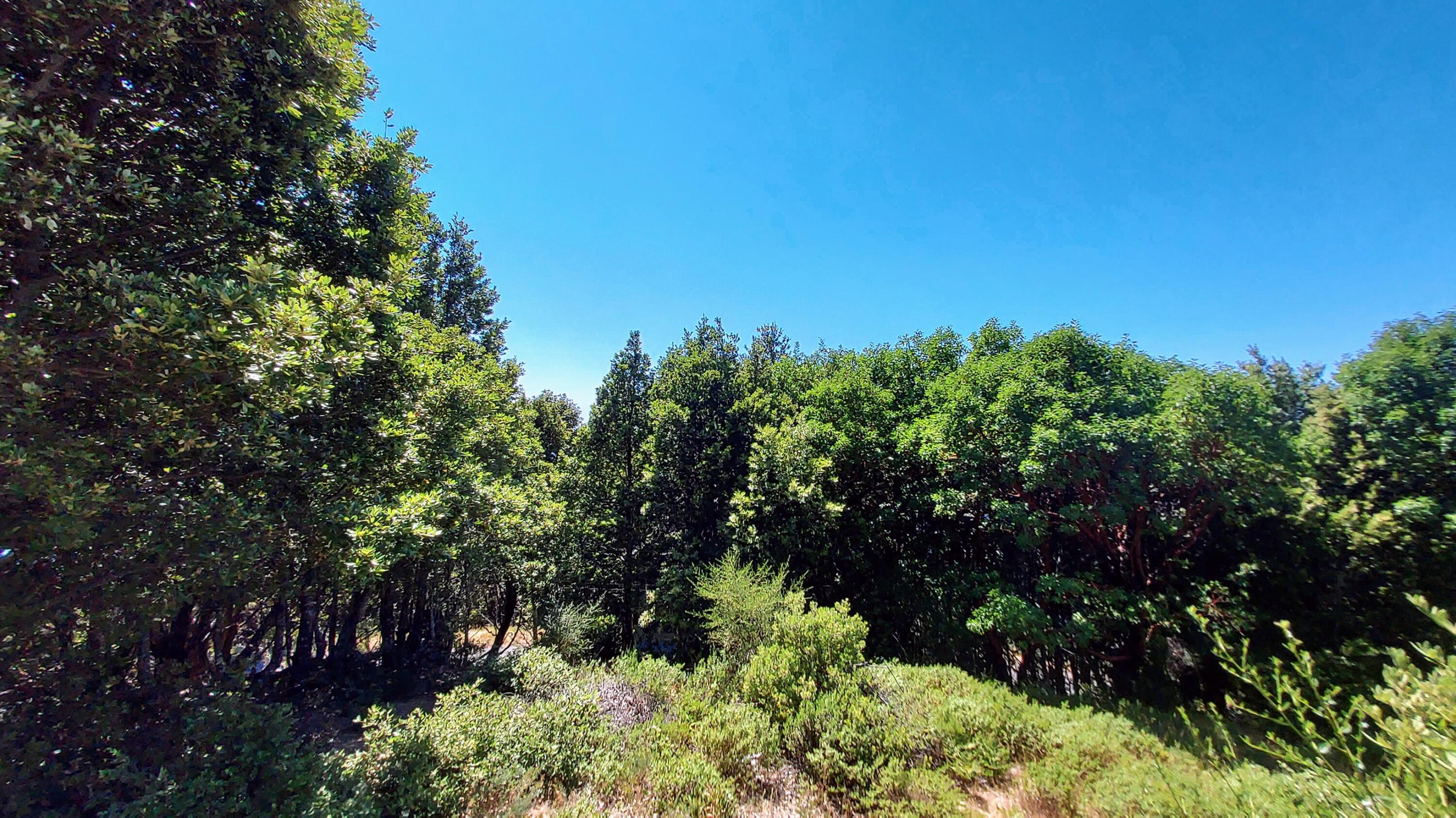 27 Cook Road Shelter Cove, CA 95589 - Photo 3 of 22