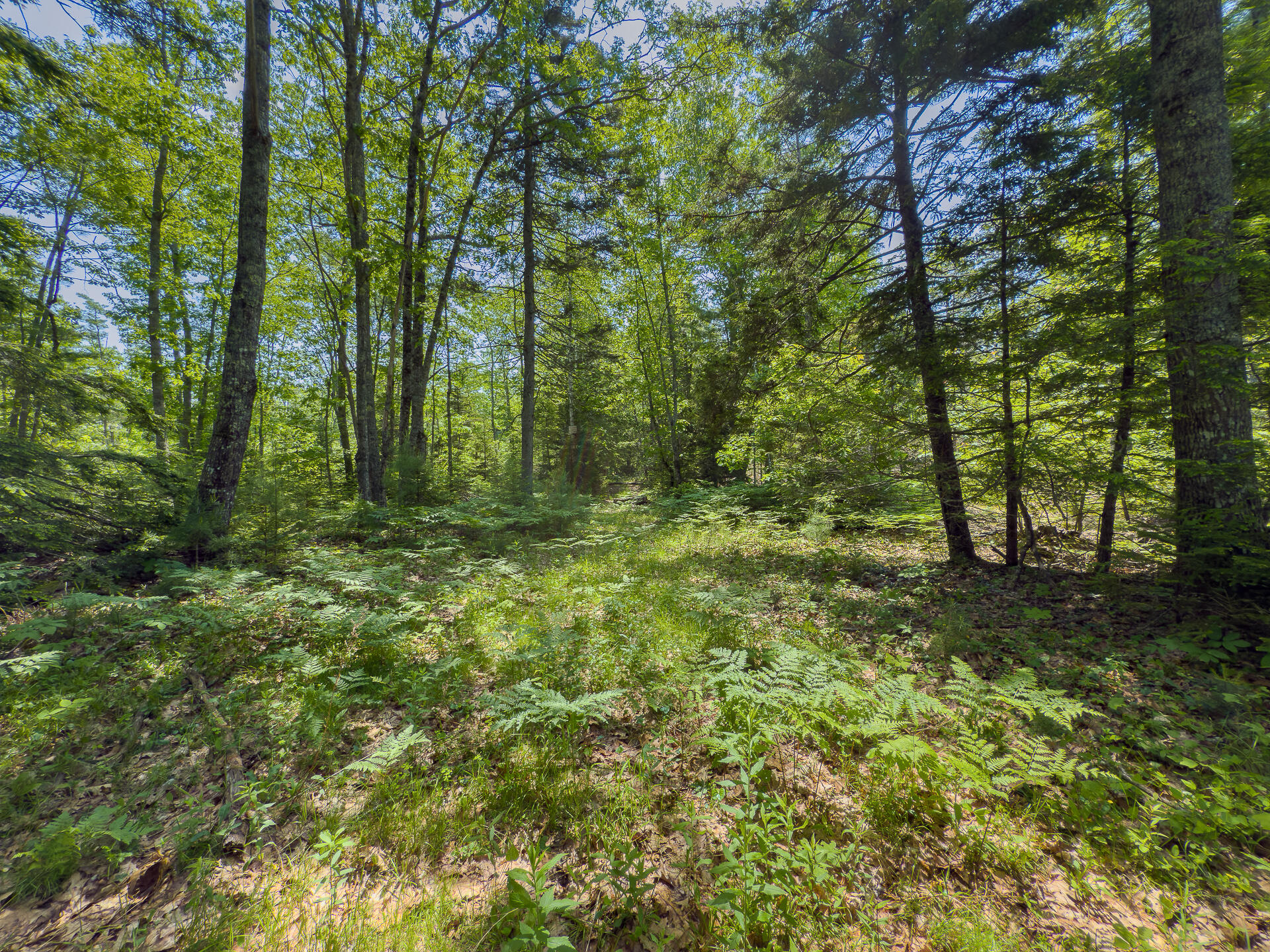 0 Sodom Road Bristol, ME 04539 - Photo 28 of 49 0_Sodom_Rd_spring-27