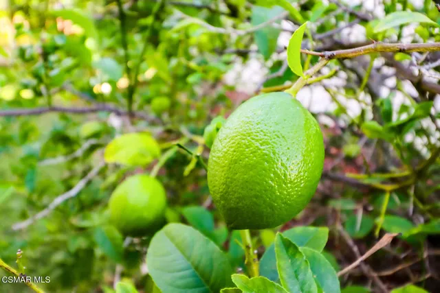 $5,400 | 4082 Avenida Verano, Thousand Oaks, CA 91360