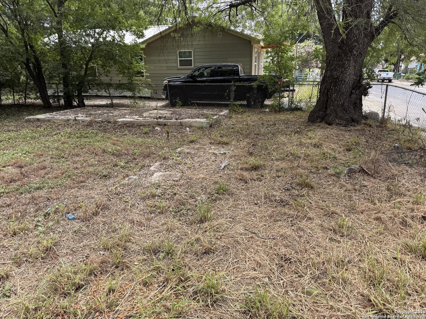 2807 Roselawn Road San Antonio, TX 78226 - Photo 3 of 5 a view of a yard in front of a house with a large tree