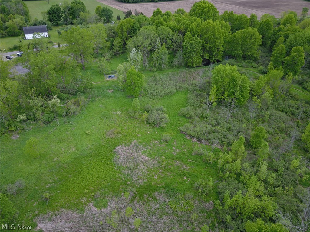 3260 Salt Springs Road Warren, OH 44481 - Photo 5 of 17 Gallery Image 5