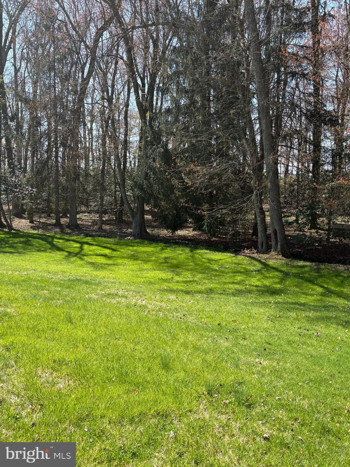 417 Medford Lakes Road Tabernacle, NJ 08088 - Photo 57 of 60 Lush, wooded views.
