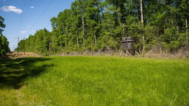 $239,000 | 4199 Pumping Station Road, Osyka, MS 39657