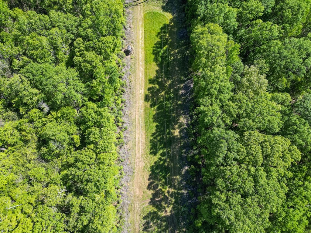 4199 Pumping Station Road Osyka, MS 39657 - Photo 11 of 51 Photo 11