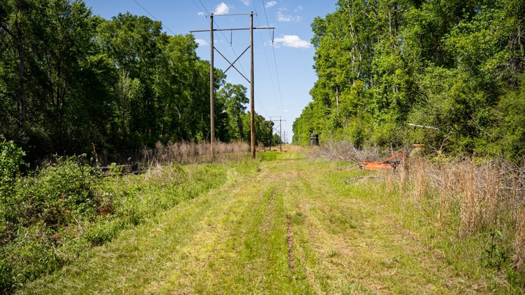 4199 Pumping Station Road Osyka, MS 39657 - Photo 12 of 51 Photo 12