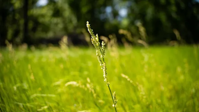 $239,000 | 4199 Pumping Station Road, Osyka, MS 39657