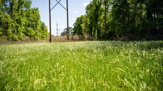 $239,000 | 4199 Pumping Station Road, Osyka, MS 39657