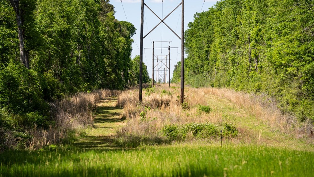 4199 Pumping Station Road Osyka, MS 39657 - Photo 18 of 51 Photo 18