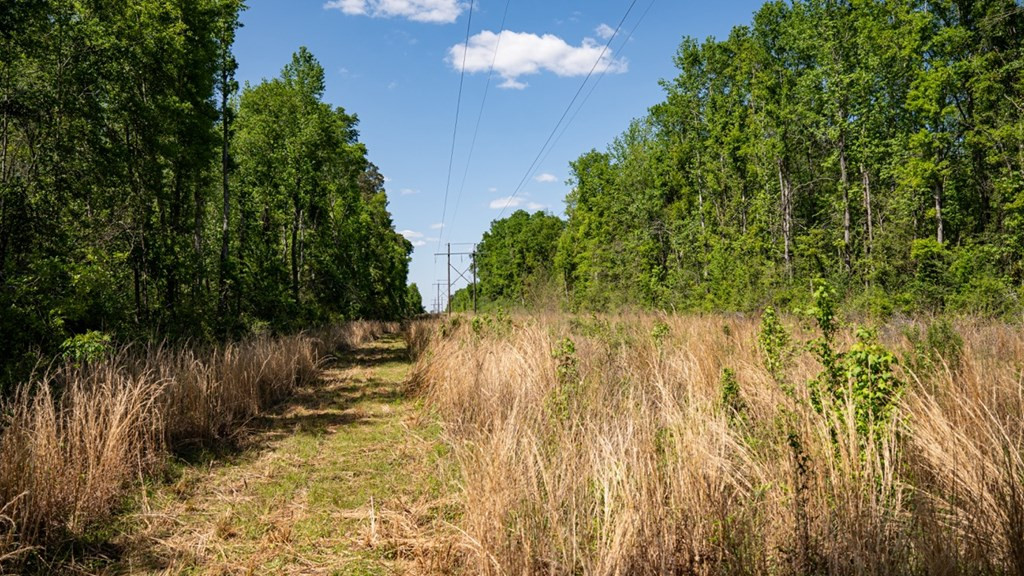 4199 Pumping Station Road Osyka, MS 39657 - Photo 19 of 51 Photo 19