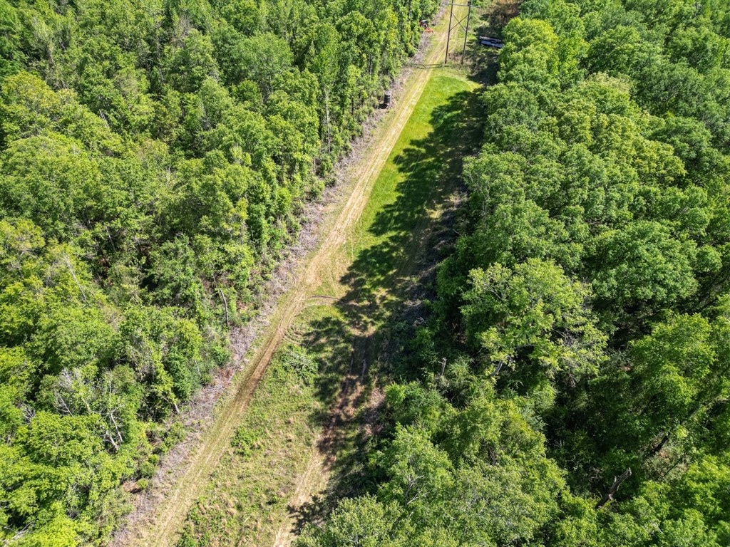 4199 Pumping Station Road Osyka, MS 39657 - Photo 2 of 51 Photo 2