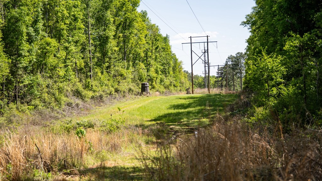 4199 Pumping Station Road Osyka, MS 39657 - Photo 21 of 51 Photo 21