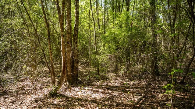 $239,000 | 4199 Pumping Station Road, Osyka, MS 39657