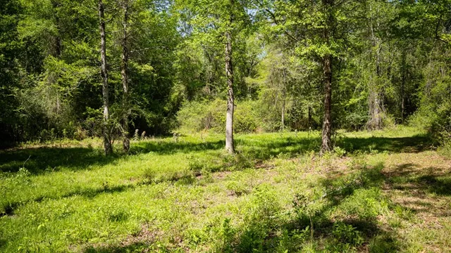 $239,000 | 4199 Pumping Station Road, Osyka, MS 39657