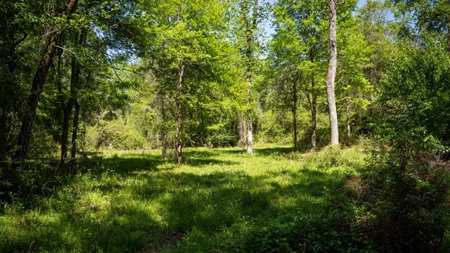 $239,000 | 4199 Pumping Station Road, Osyka, MS 39657