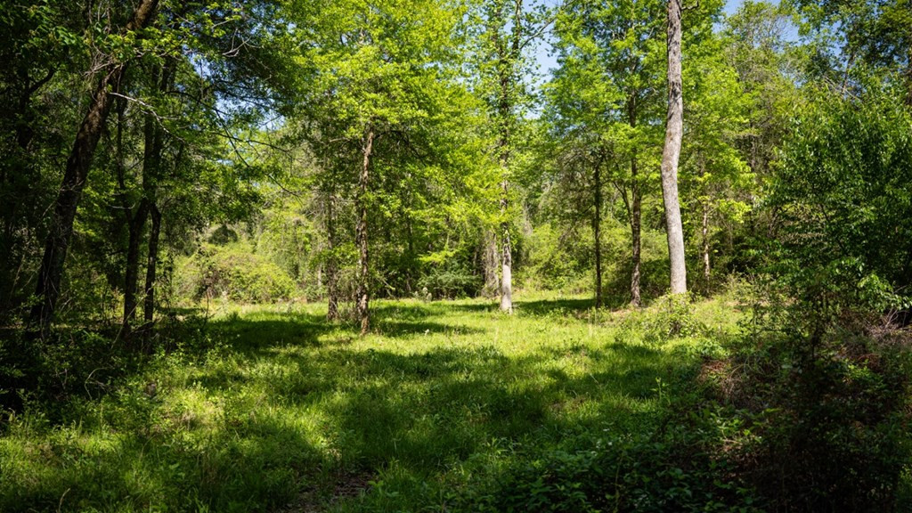 4199 Pumping Station Road Osyka, MS 39657 - Photo 24 of 51 Photo 24