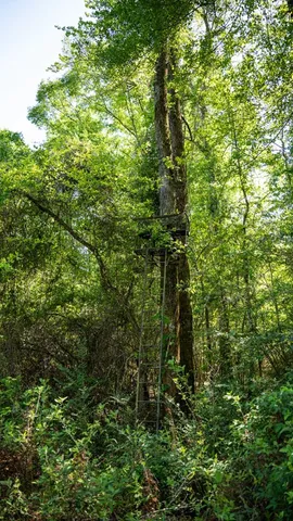 $239,000 | 4199 Pumping Station Road, Osyka, MS 39657