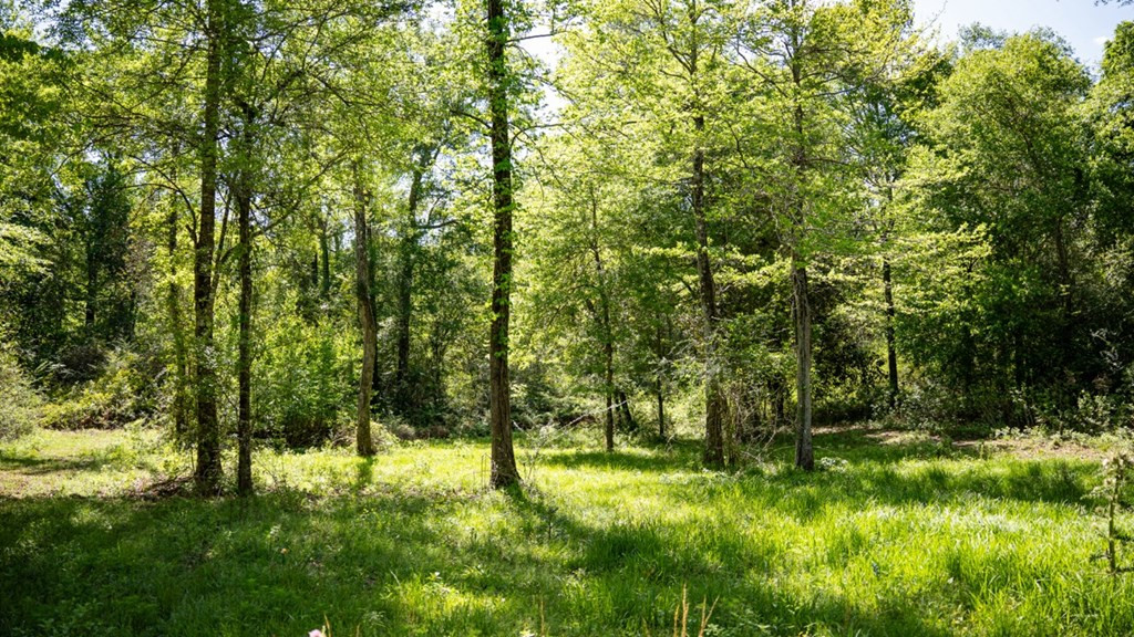 4199 Pumping Station Road Osyka, MS 39657 - Photo 26 of 51 Photo 26