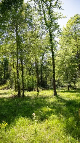 $239,000 | 4199 Pumping Station Road, Osyka, MS 39657