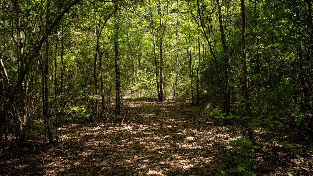 4199 Pumping Station Road Osyka, MS 39657 - Photo 28 of 51 Photo 28