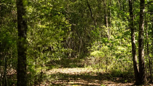 $239,000 | 4199 Pumping Station Road, Osyka, MS 39657