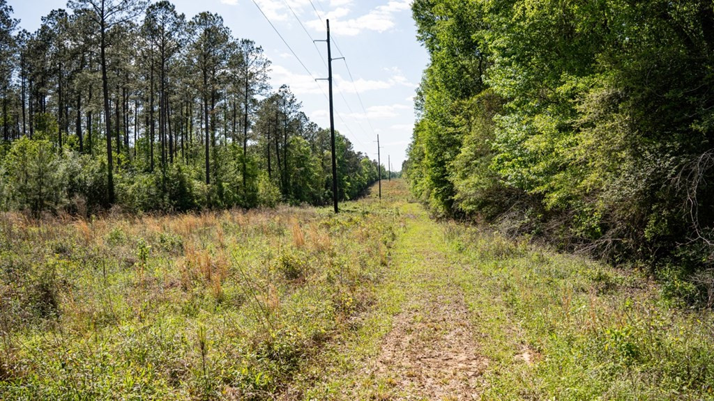 4199 Pumping Station Road Osyka, MS 39657 - Photo 30 of 51 Photo 30