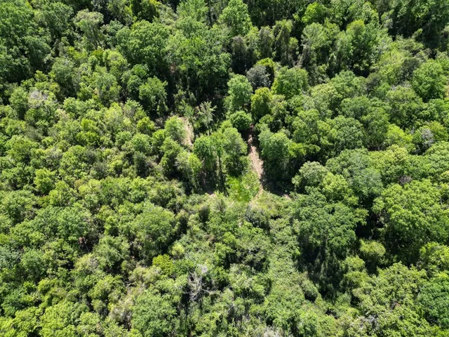 $239,000 | 4199 Pumping Station Road, Osyka, MS 39657