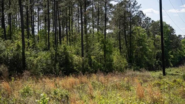 $239,000 | 4199 Pumping Station Road, Osyka, MS 39657