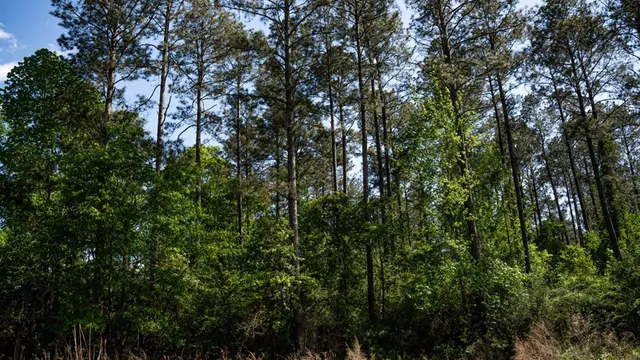 $239,000 | 4199 Pumping Station Road, Osyka, MS 39657