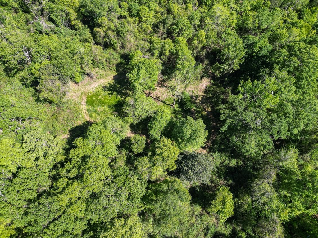 4199 Pumping Station Road Osyka, MS 39657 - Photo 4 of 51 Photo 4