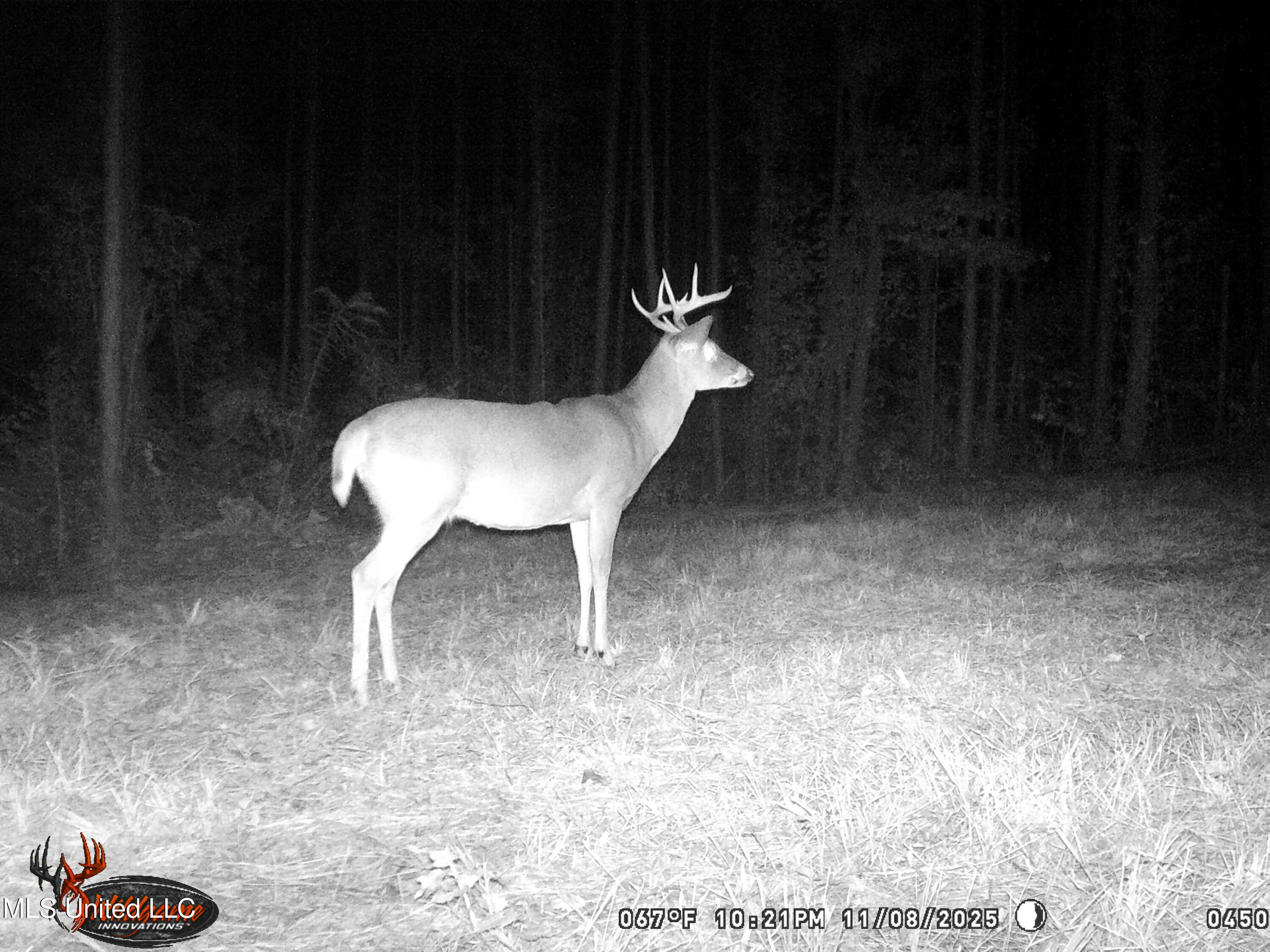 4199 Pumping Station Road Osyka, MS 39657 - Photo 43 of 51 unnamed-1