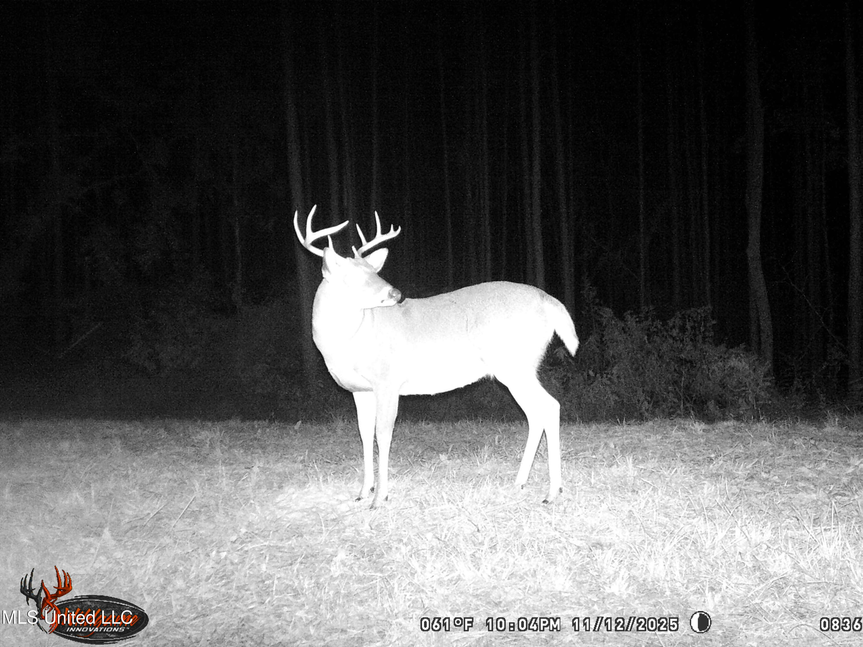 4199 Pumping Station Road Osyka, MS 39657 - Photo 44 of 51 unnamed-2