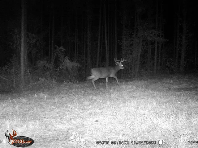 $239,000 | 4199 Pumping Station Road, Osyka, MS 39657