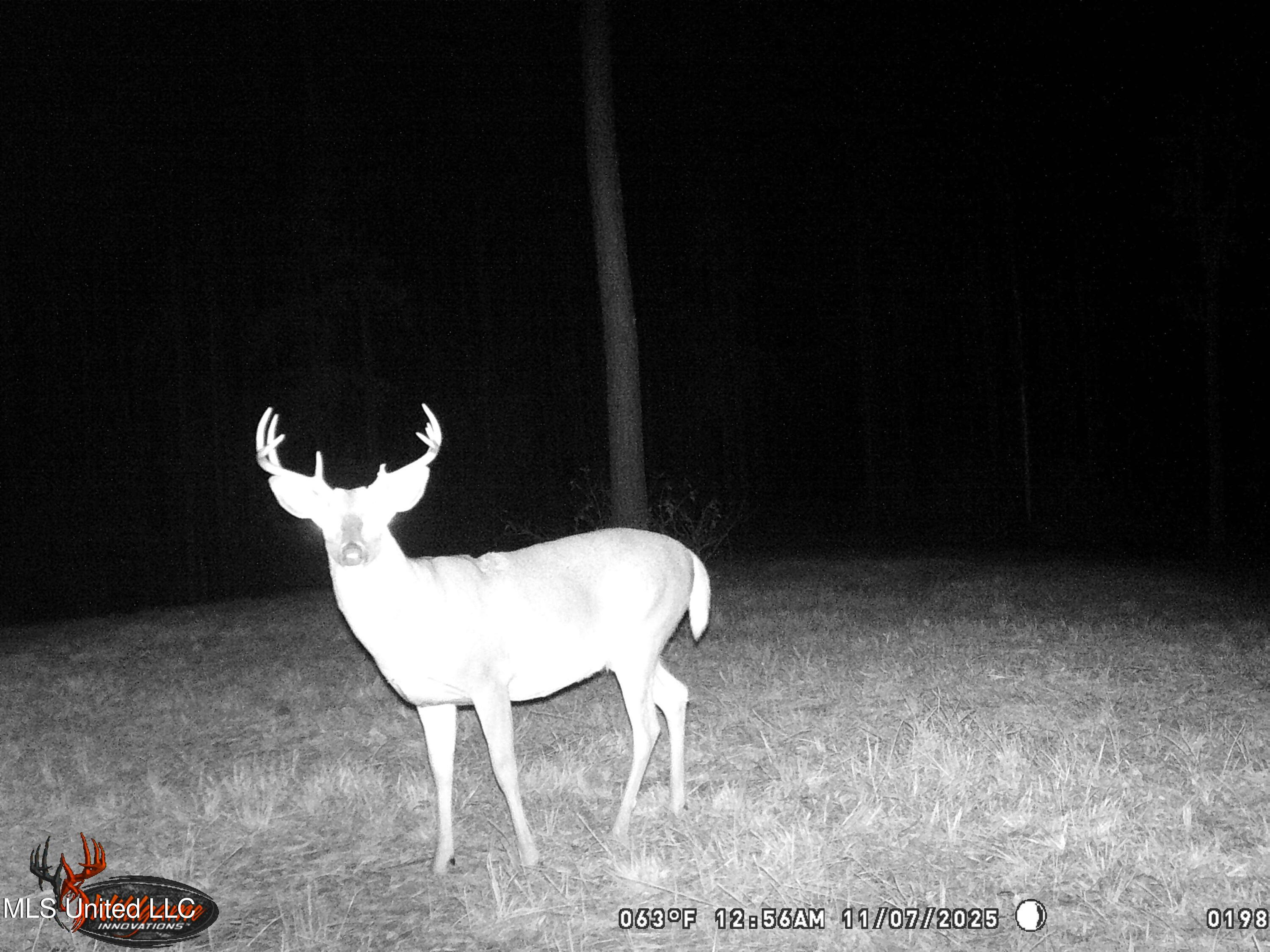 4199 Pumping Station Road Osyka, MS 39657 - Photo 49 of 51 unnamed-7