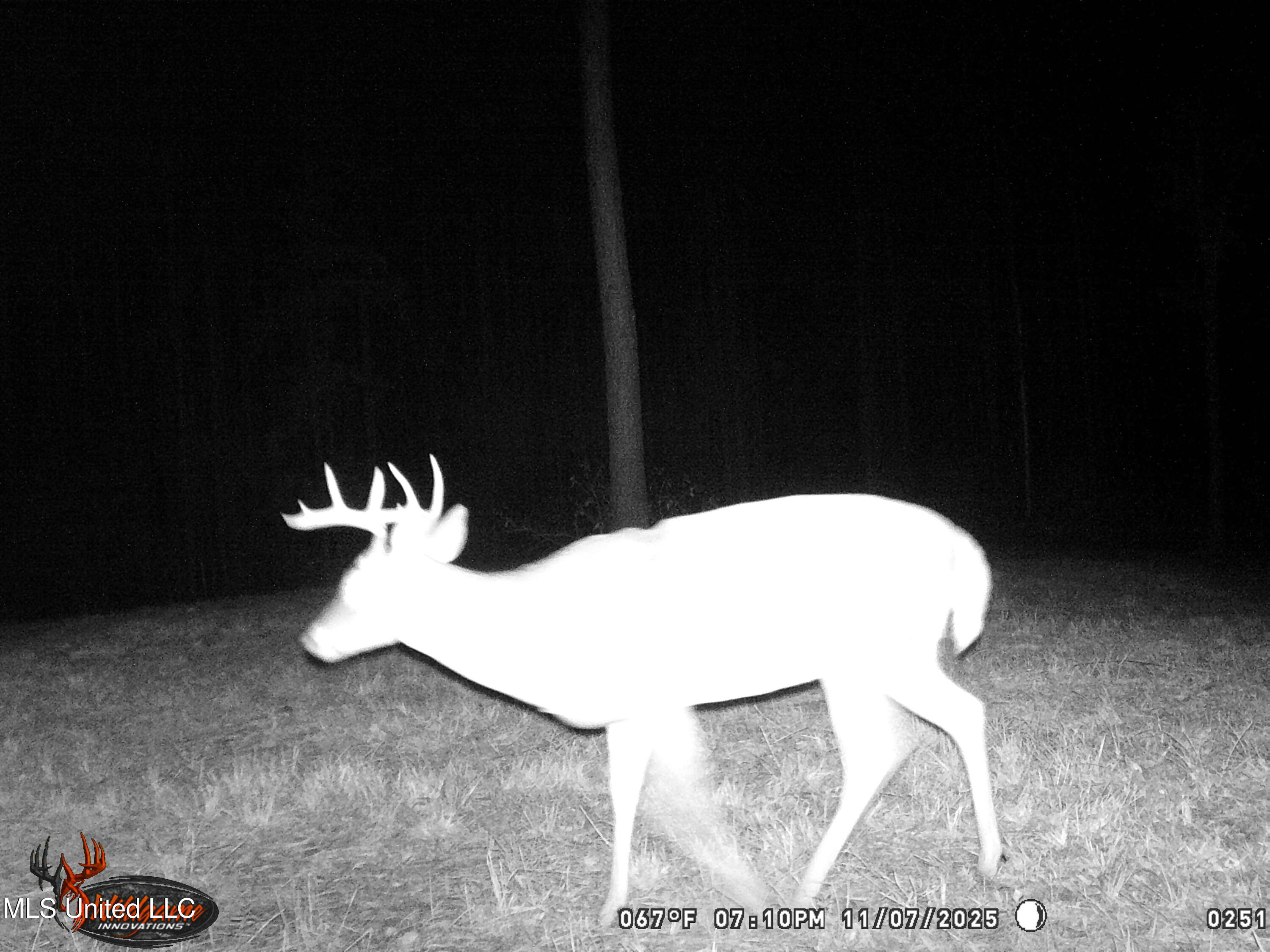 4199 Pumping Station Road Osyka, MS 39657 - Photo 50 of 51 unnamed-8