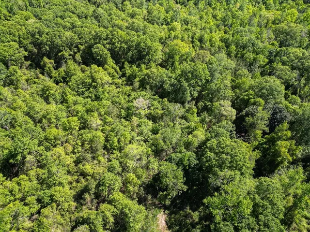 $239,000 | 4199 Pumping Station Road, Osyka, MS 39657