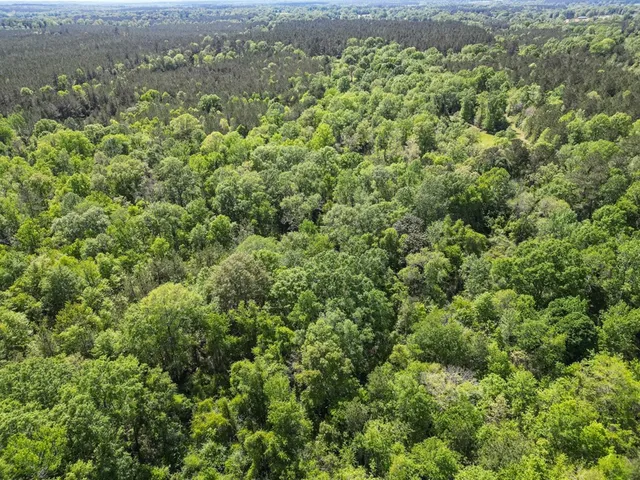 $239,000 | 4199 Pumping Station Road, Osyka, MS 39657