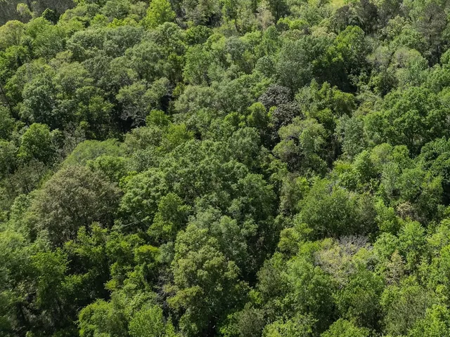 $239,000 | 4199 Pumping Station Road, Osyka, MS 39657