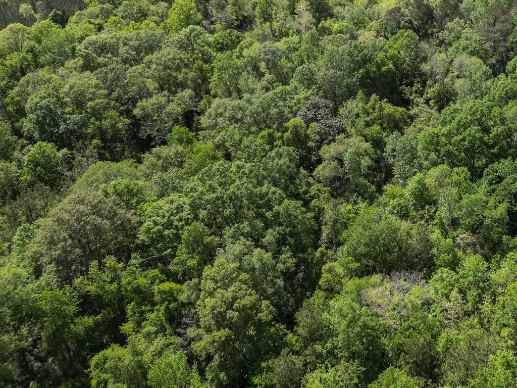 4199 Pumping Station Road Osyka, MS 39657 - Photo 7 of 51 Photo 7