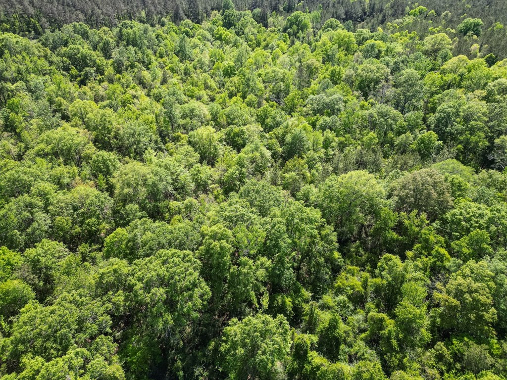 4199 Pumping Station Road Osyka, MS 39657 - Photo 8 of 51 Photo 8