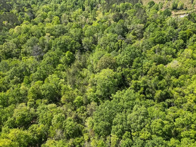 $239,000 | 4199 Pumping Station Road, Osyka, MS 39657